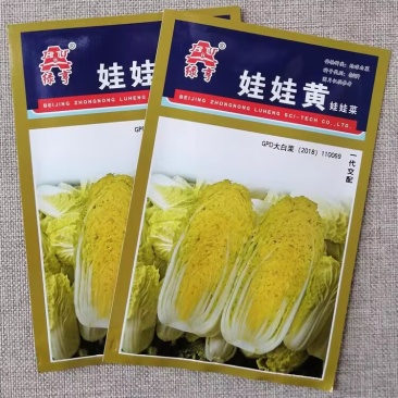 中农绿亨娃娃黄杂交娃娃菜种子内叶嫩黄早熟迷你黄心黄叶白菜