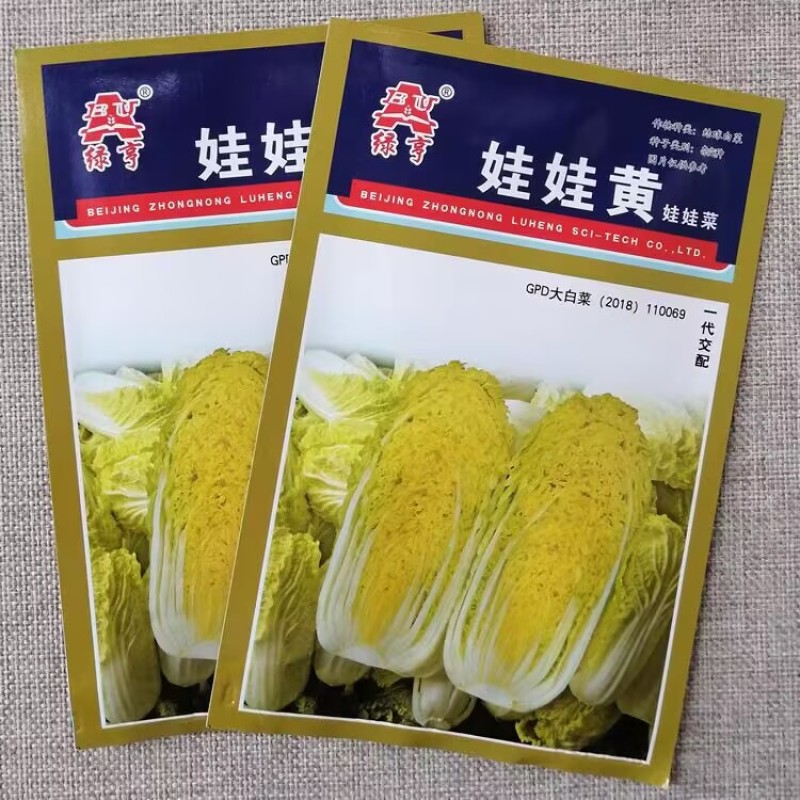 中农绿亨娃娃黄杂交娃娃菜种子内叶嫩黄早熟迷你黄心黄叶白菜