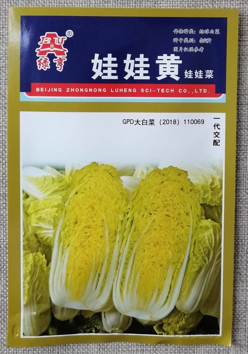 中农绿亨娃娃黄杂交娃娃菜种子内叶嫩黄早熟迷你黄心黄叶白菜