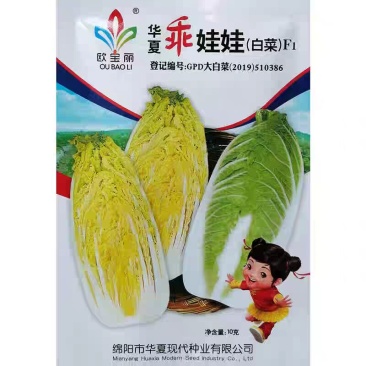 华夏乖娃娃黄心大白菜种子种子内叶浅黄口感脆嫩柔软黄芯白菜