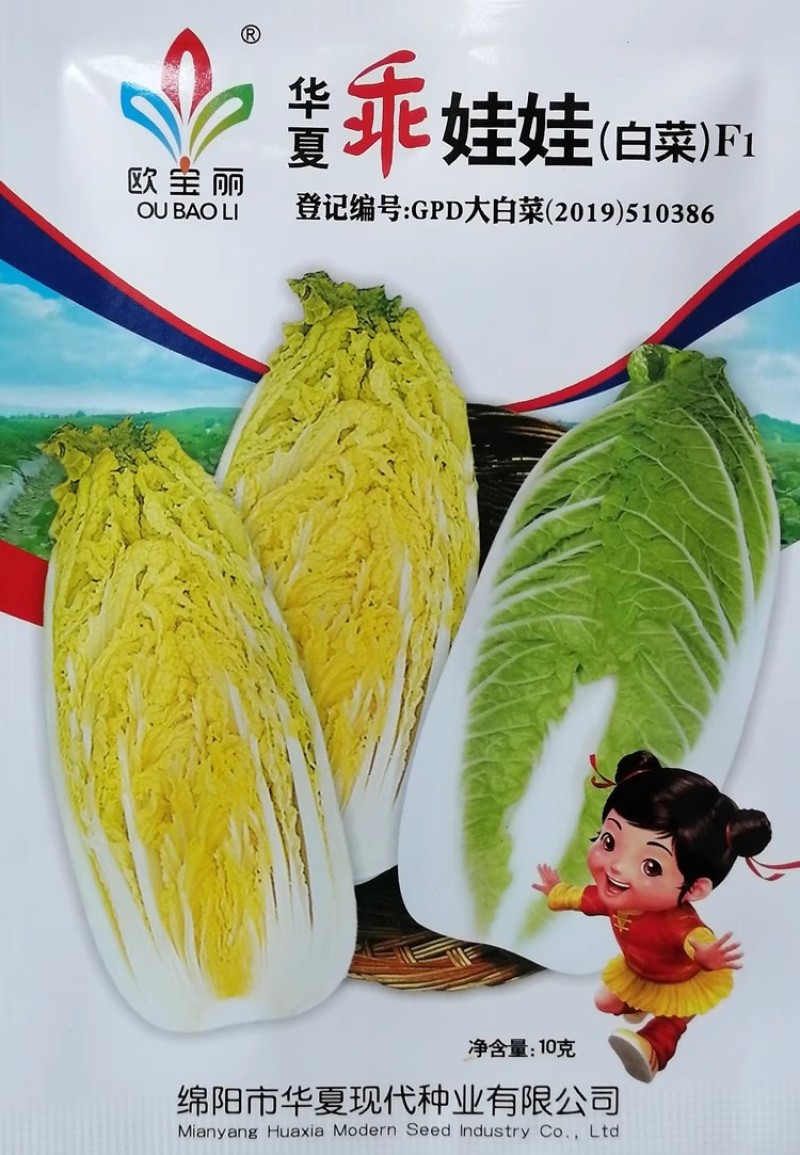 华夏乖娃娃黄心大白菜种子种子内叶浅黄口感脆嫩柔软黄芯白菜