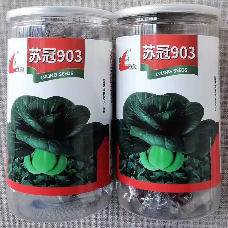 绿领苏冠903黑绿青梗菜种子大青菜苏州青种籽矮颗耐寒墨绿