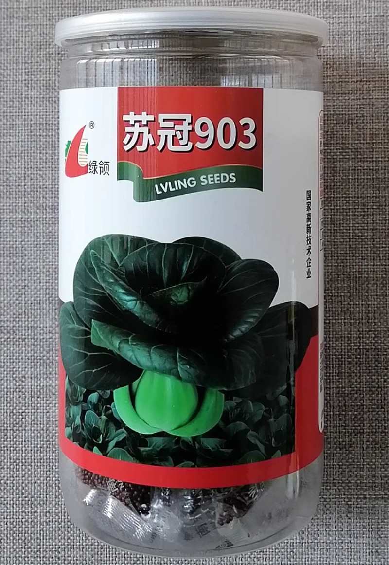 绿领苏冠903黑绿青梗菜种子大青菜苏州青种籽矮颗耐寒墨绿