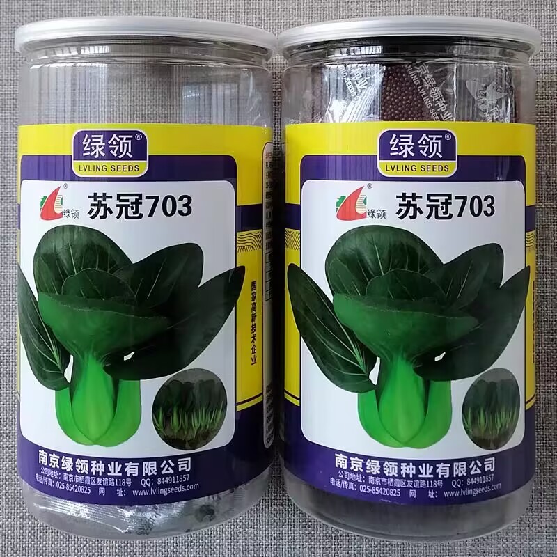 绿领苏冠703墨绿叶青梗菜种子叶柄肥厚油亮青菜鸡毛菜种籽