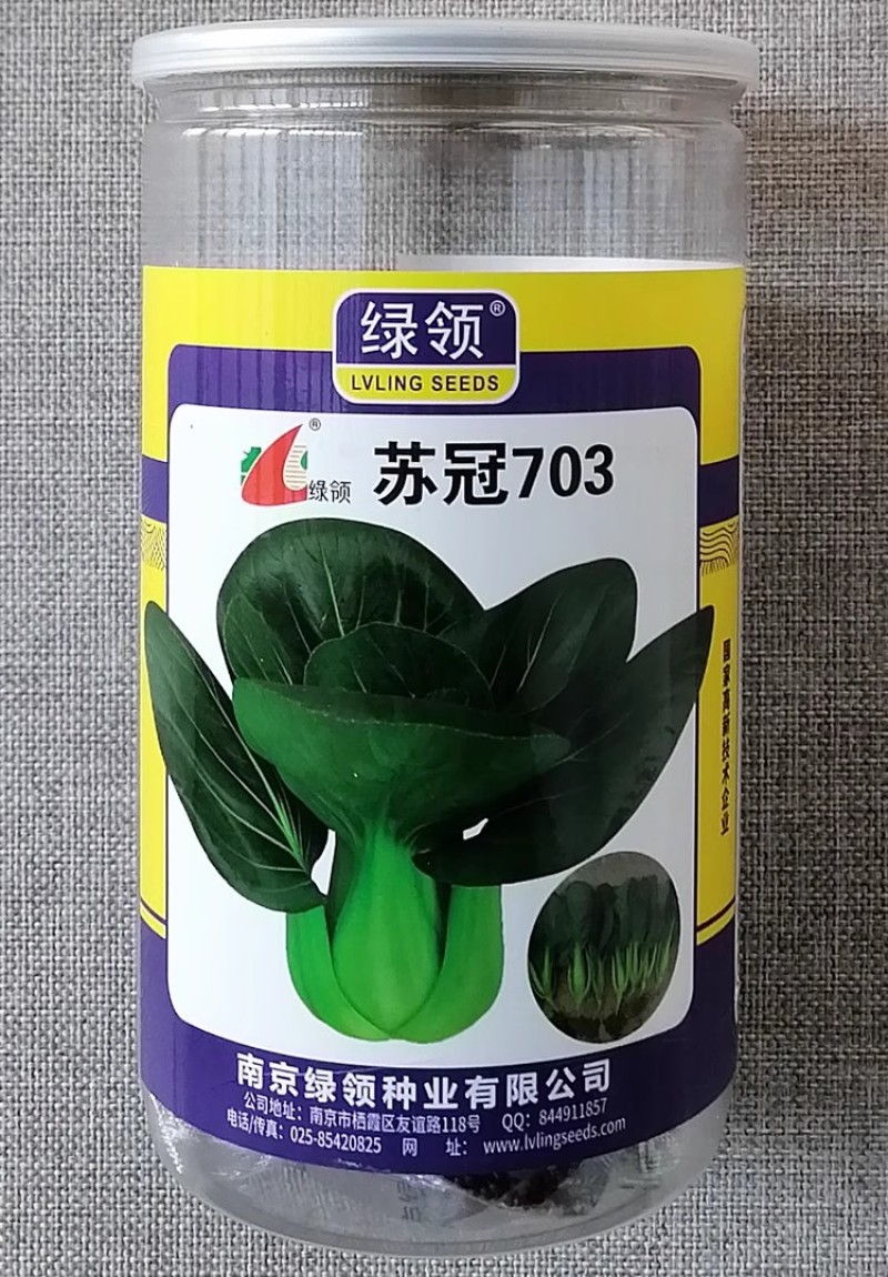 绿领苏冠703墨绿叶青梗菜种子叶柄肥厚油亮青菜鸡毛菜种籽