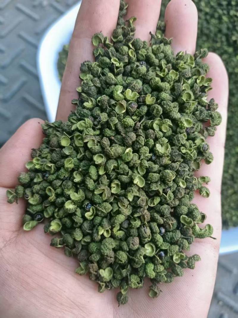 【精品青麻椒】大量现货供应，全年有货，对接商超电商批发商