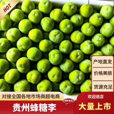 贵州安顺六马蜂糖李，产地一手货源充足质量保证，视频看货