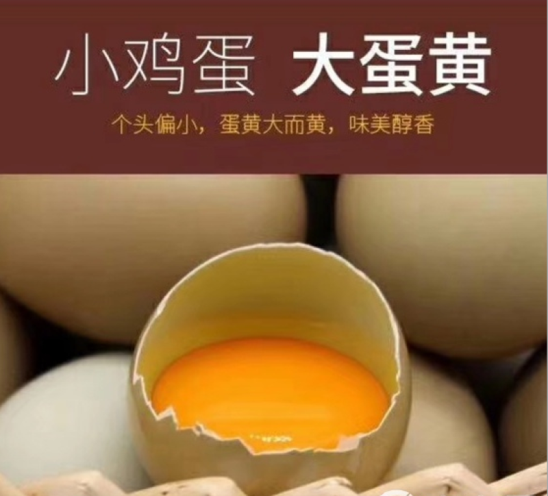 初生蛋农家山鸡蛋