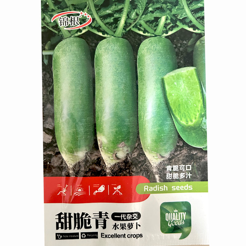 冰糖脆水果萝卜种子10g绿皮绿肉清脆可口大田基地