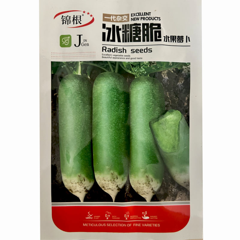 冰糖脆水果萝卜种子10g绿皮绿肉清脆可口大田基地