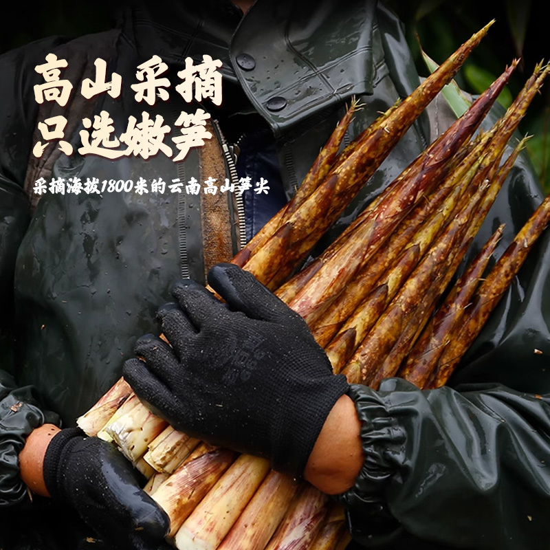 四川高山小竹笋笋尖剥壳翡翠绿笋清水火锅麻辣烫串串食材素菜