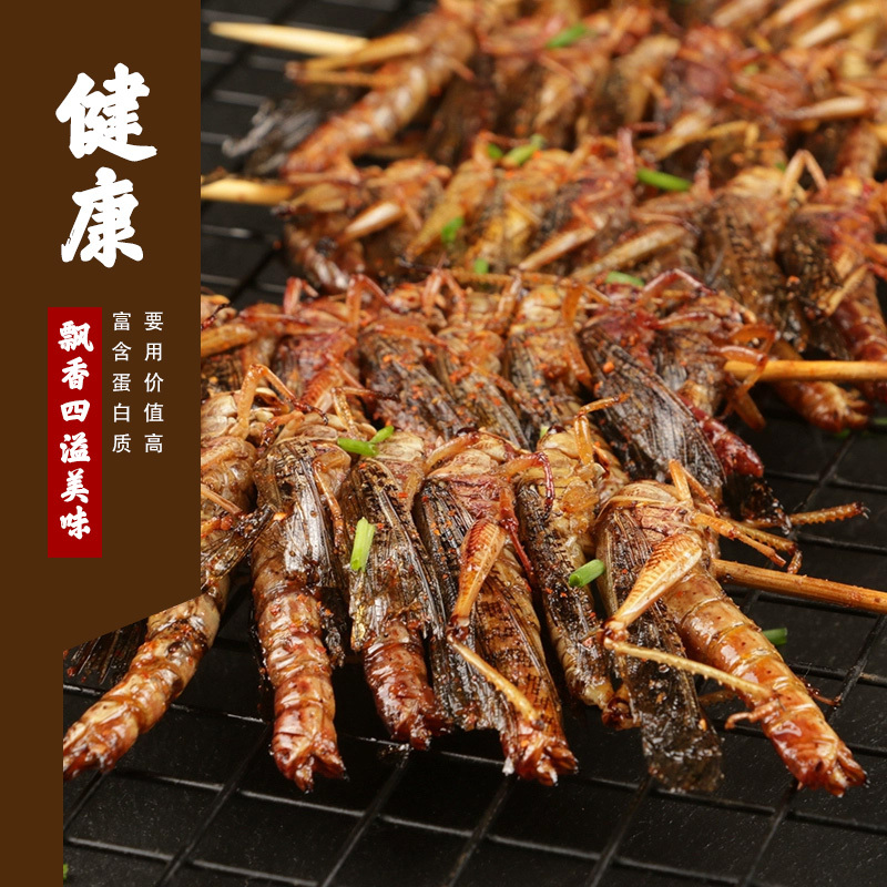 虫虫蚂蚱串250g烧烤油炸食材