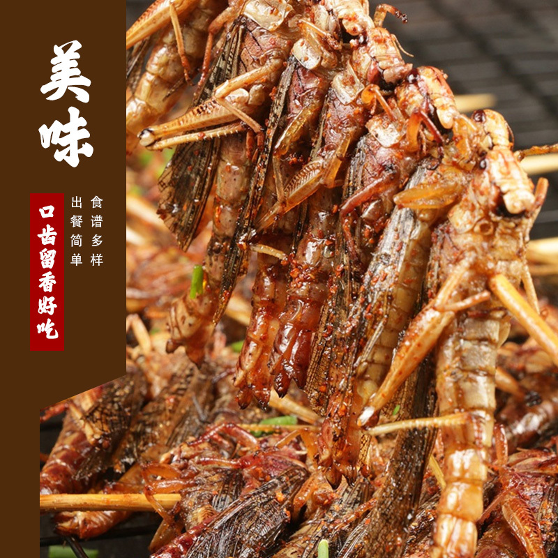 虫虫蚂蚱串250g烧烤油炸食材