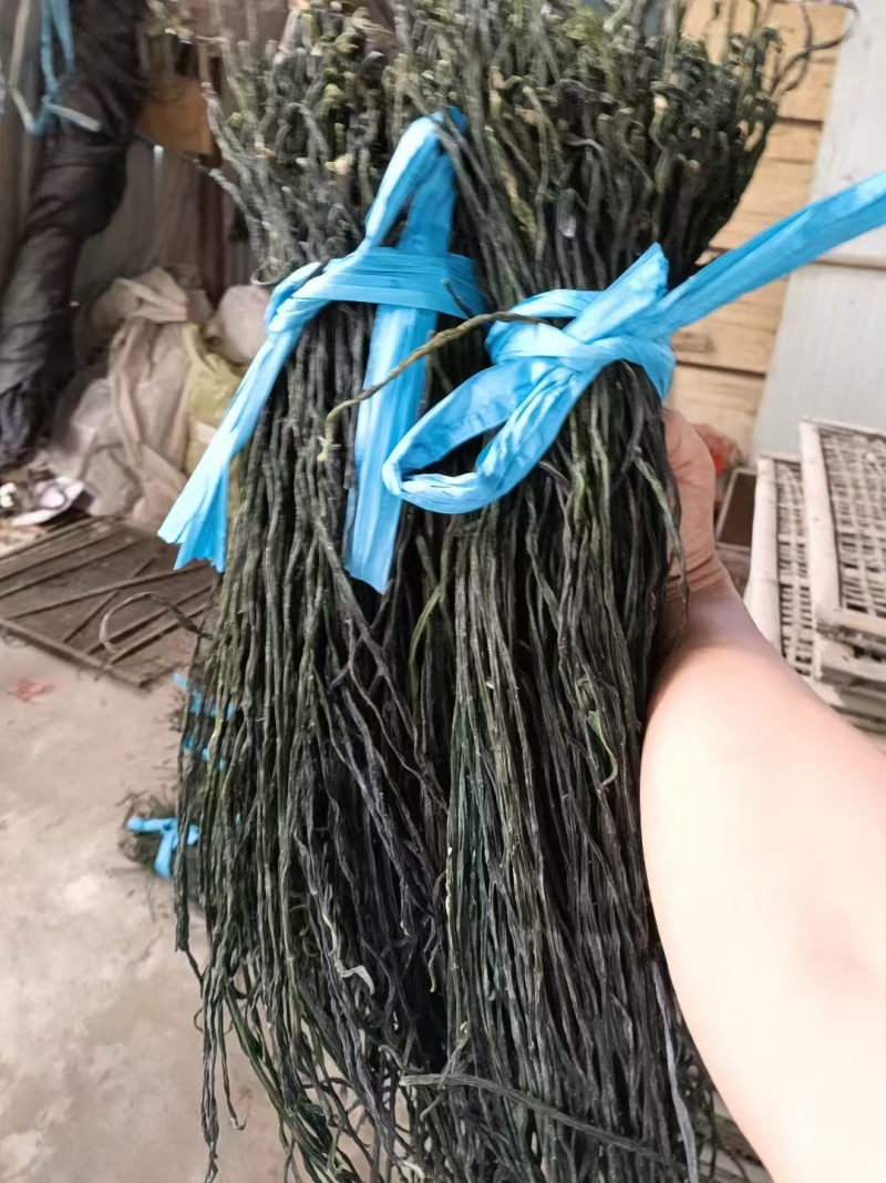 烘干豆角脱水长豆角量大质优价格优惠欢迎各大老板采购