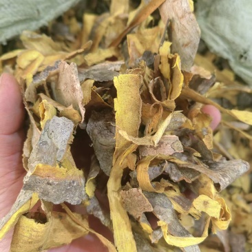 黄柏皮投料用黄柏皮兽药黄柏