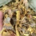 黄柏皮投料用黄柏皮兽药黄柏