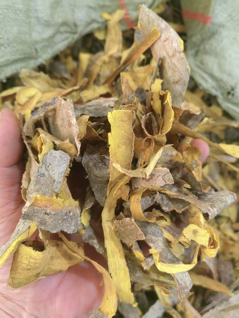 黄柏皮投料用黄柏皮兽药黄柏