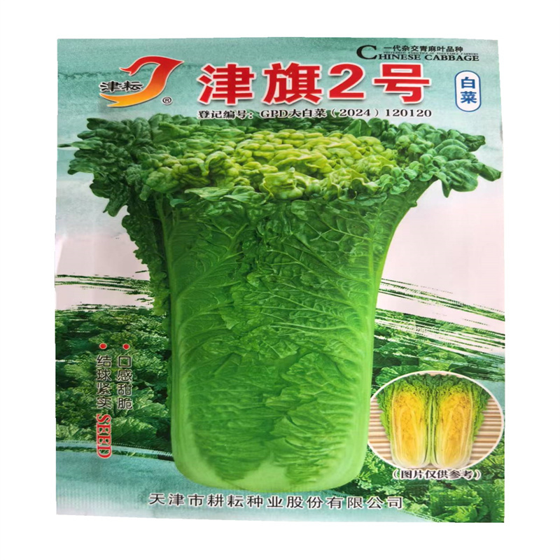津旗2号青麻叶白菜种子直筒矮桩青麻叶心黄高产