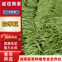 【精品】湖北宜昌长阳小金豆基地直发一手货源直供商超
