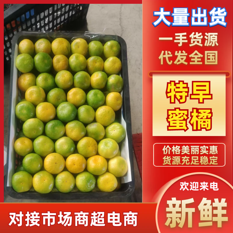 云南特早蜜橘/柑桔产地一手货源，皮薄多汁，供应电商市场