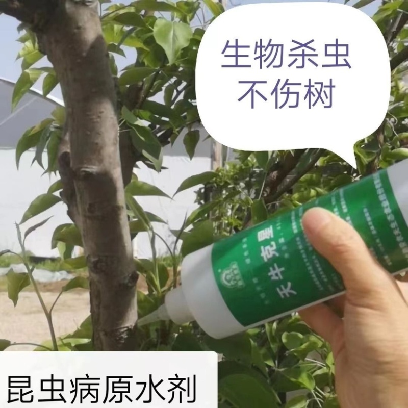 天牛克星钻心虫干虫昆虫病原水剂450ml生物杀虫不伤树