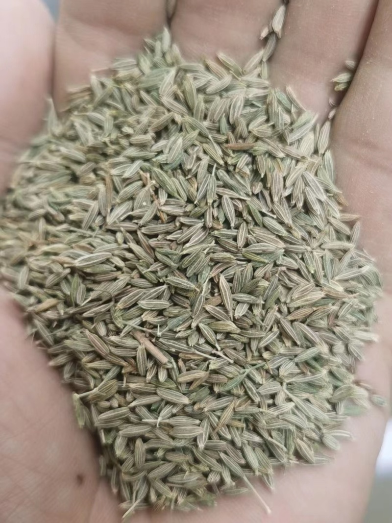 【实力优选】新疆孜然/精选孜然/颗粒饱满粒粒甄选