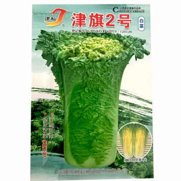 青麻叶白菜种子津旗2号白菜种子青口直筒天津秋季庭院大白菜