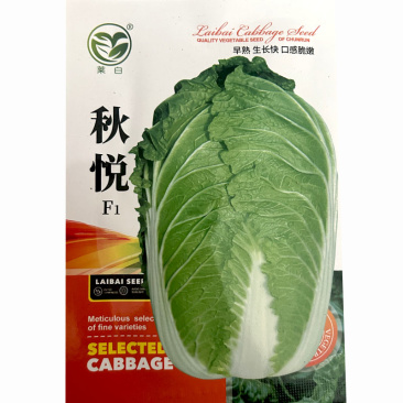 秋悦大白菜种子早熟生长快口感脆嫩黄心秋季白菜