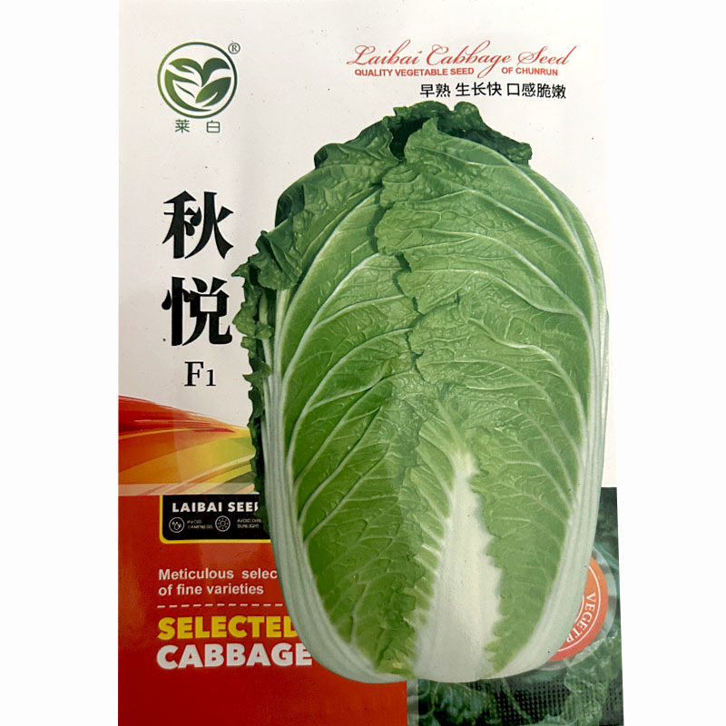 秋悦大白菜种子早熟生长快口感脆嫩黄心秋季白菜
