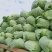 山东精品甘蓝京丰一号甘蓝扁包菜价格优惠产地直发全国市场