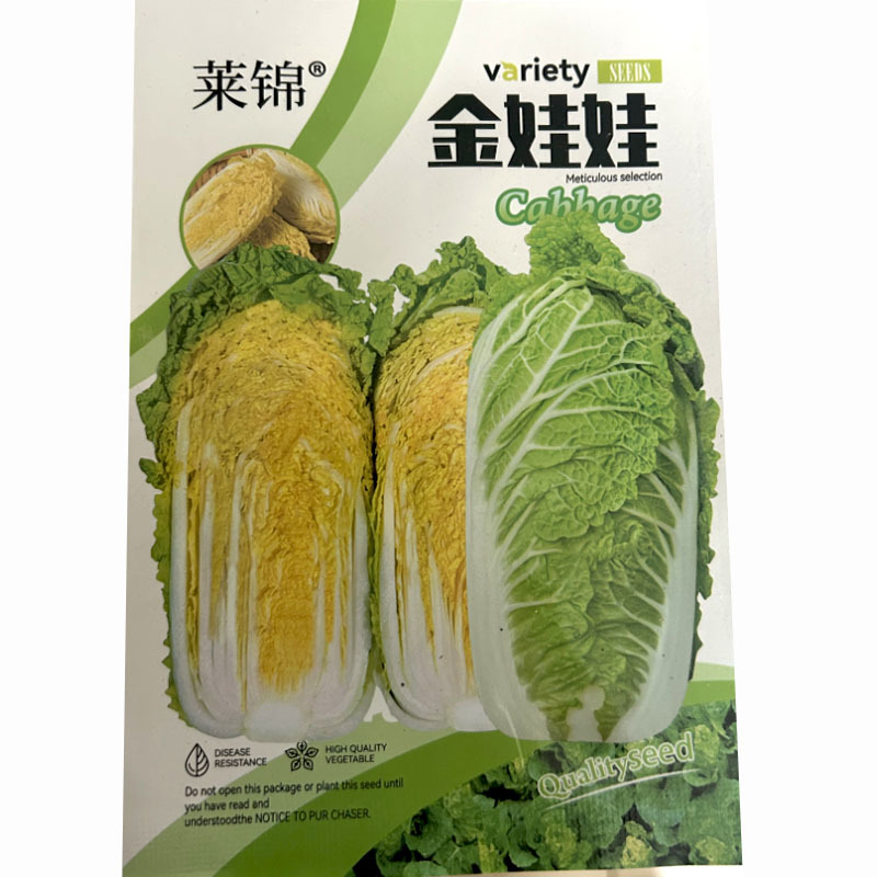 小娃娃菜种子小白菜早熟品种10g内叶深黄大田基地