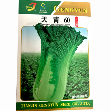 白菜种子青麻叶天青60麻叶直简直立紧凑叶深绿叶纹白菜种子