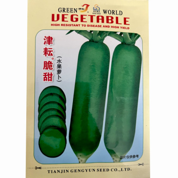 水果萝卜种子青萝卜绿皮绿肉花叶秋季萝卜