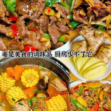 【现挖现发】云南高原小黄姜新鲜出土农家小黄姜肉厚香辣