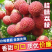 广西荔枝/桂味荔枝，产地直发欢迎老板来电话咨询