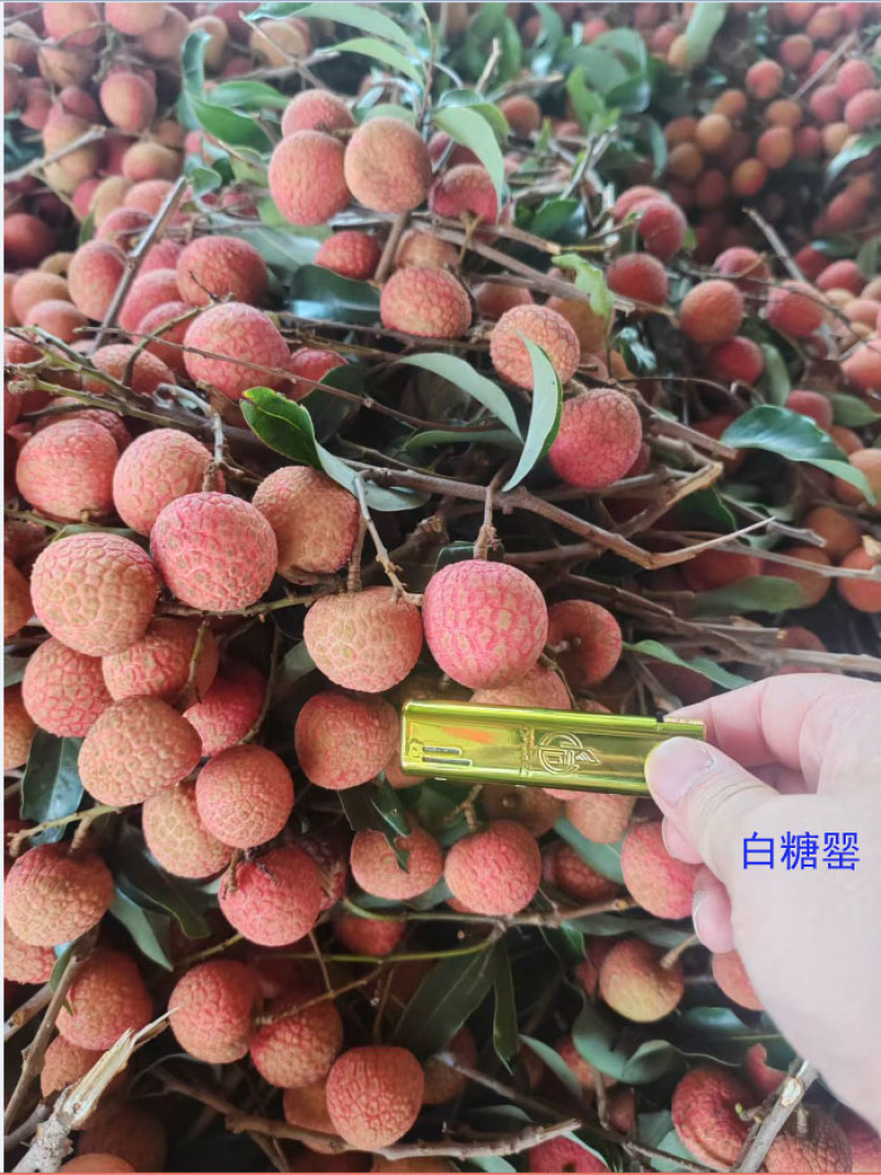荔枝