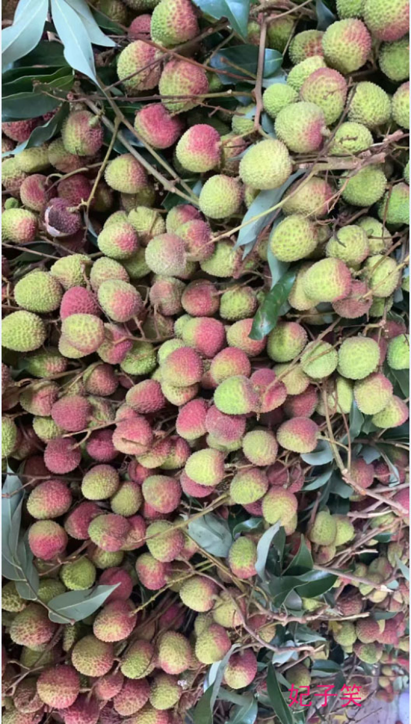荔枝