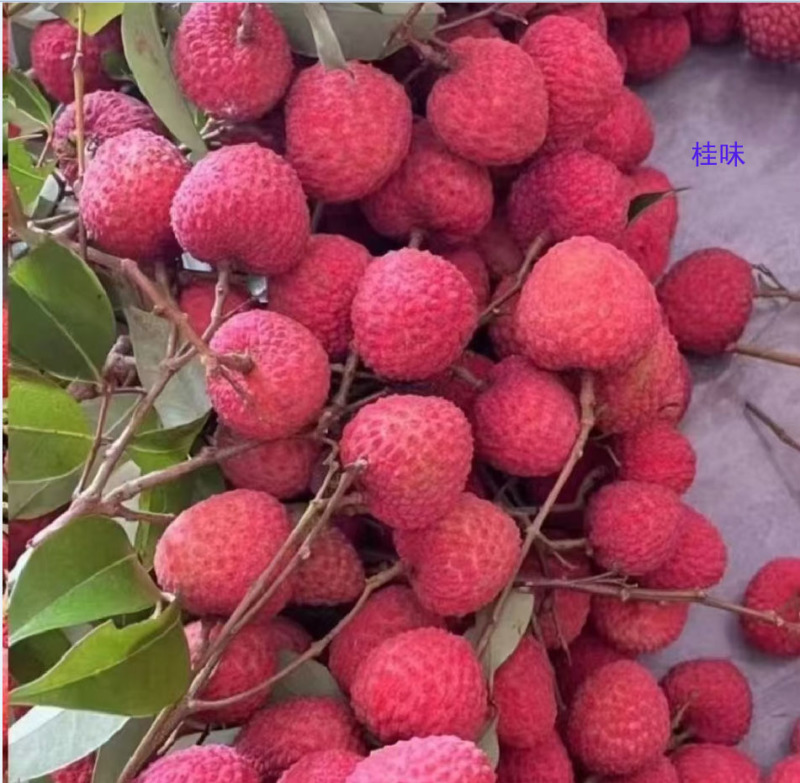 荔枝