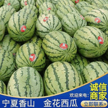 《金花西瓜1号6号》宁夏西瓜/宁夏金花西瓜/香山产区