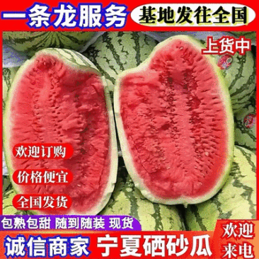 精选《宁夏硒砂瓜》石缝瓜宁夏西瓜/大吨位供应全国发货
