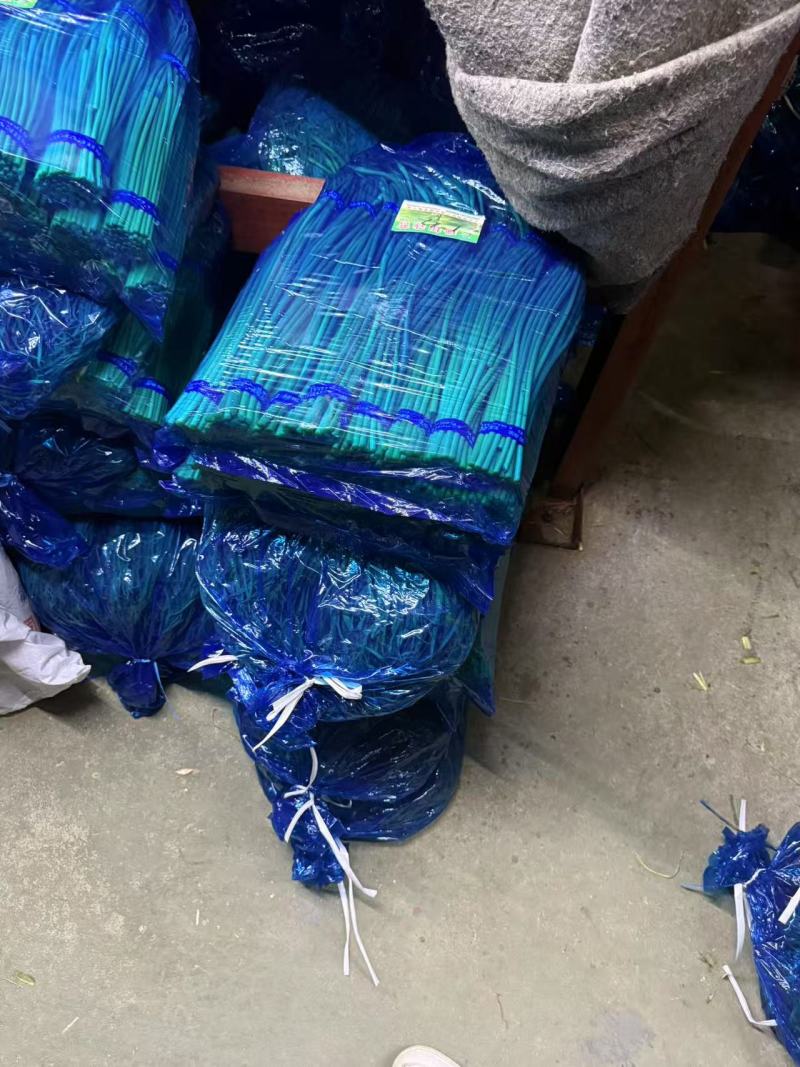 优质山东红帽蒜苔，全国发货，诚信经营，可对接各大批发市场等
