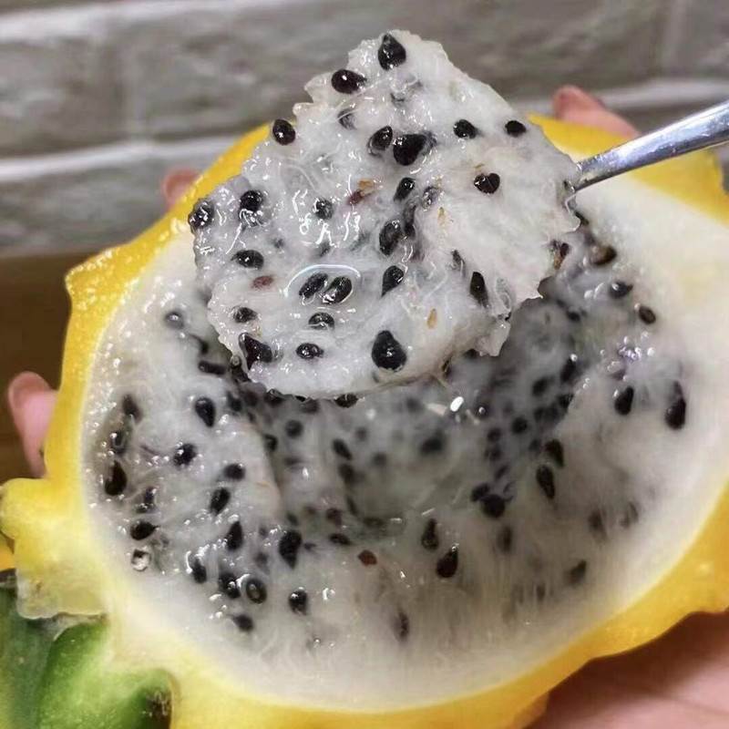 广西燕窝果当季新鲜水果麒麟果黄色火龙果孕妇宝宝果整箱