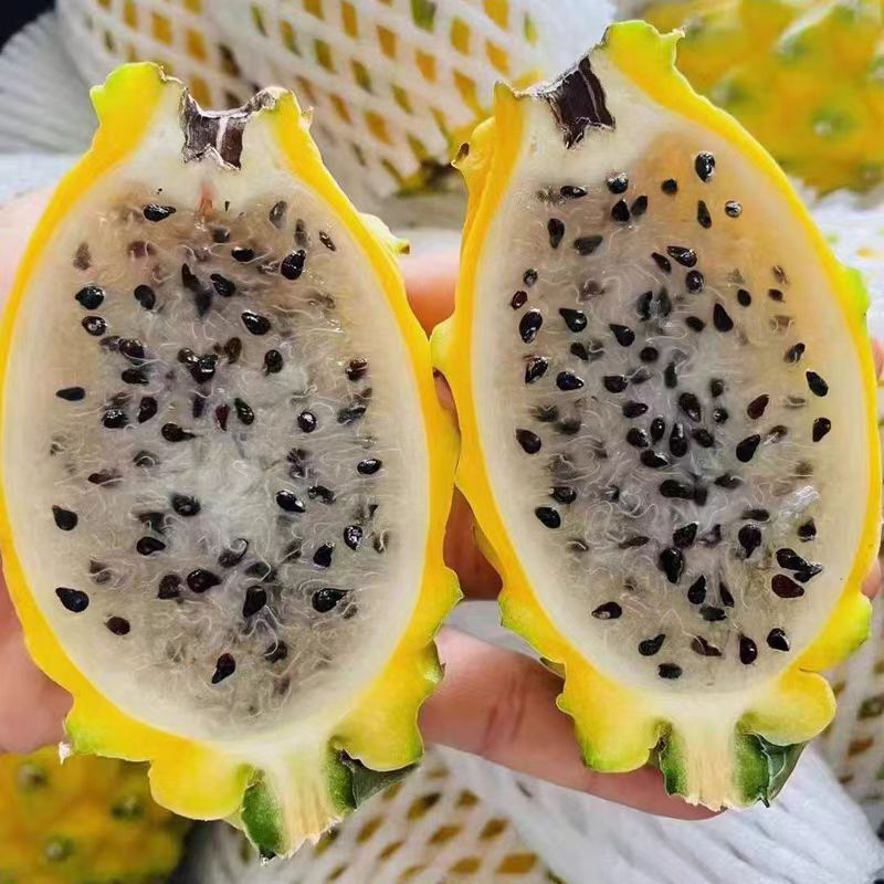 广西燕窝果当季新鲜水果麒麟果黄色火龙果孕妇宝宝果整箱