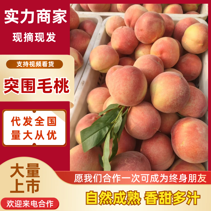毛桃突围桃产地直发品质保障对接电商市场社区团购