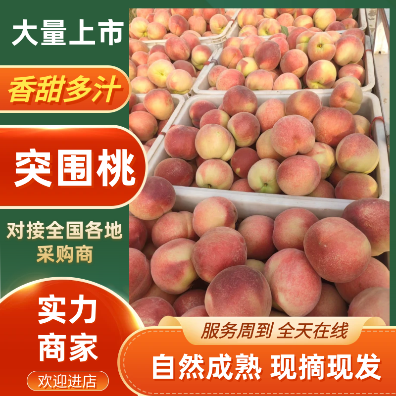 突围毛桃砀山毛桃产地直发品质保障质量三包对接全国