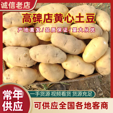 河北土豆大量上市产地直发价格优惠欢迎来电洽谈