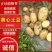精品黄心土豆现挖现发品质保证支持视频看货欢迎来电