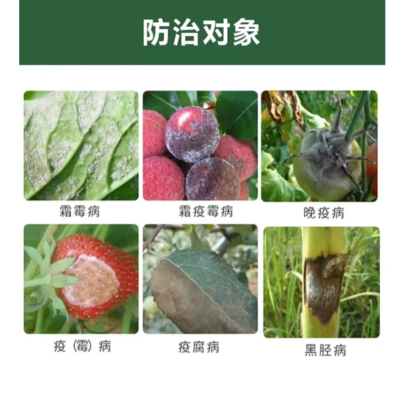 80%烯酰吗啉霜霉病早晚疫病腐霉病黑胫病杀菌剂