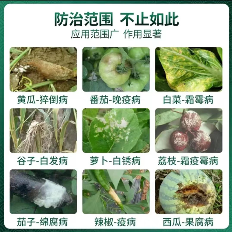 80%烯酰吗啉霜霉病早晚疫病腐霉病黑胫病杀菌剂