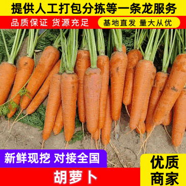 电商市场超市精品红萝卜，土货，水洗中条，精品箱子，小条…